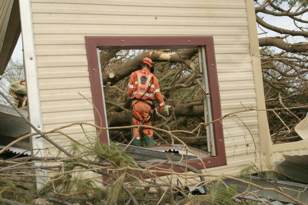 Best Hazardous Tree Removal  in Turlock, CA